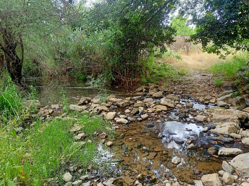 Casa de campo-Masía en Venta en Jimena De La Frontera Cádiz - foto 58