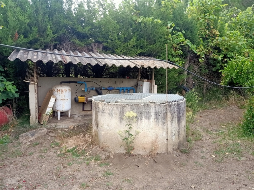 Casa de campo-Masía en Venta en Jimena De La Frontera Cádiz - foto 59
