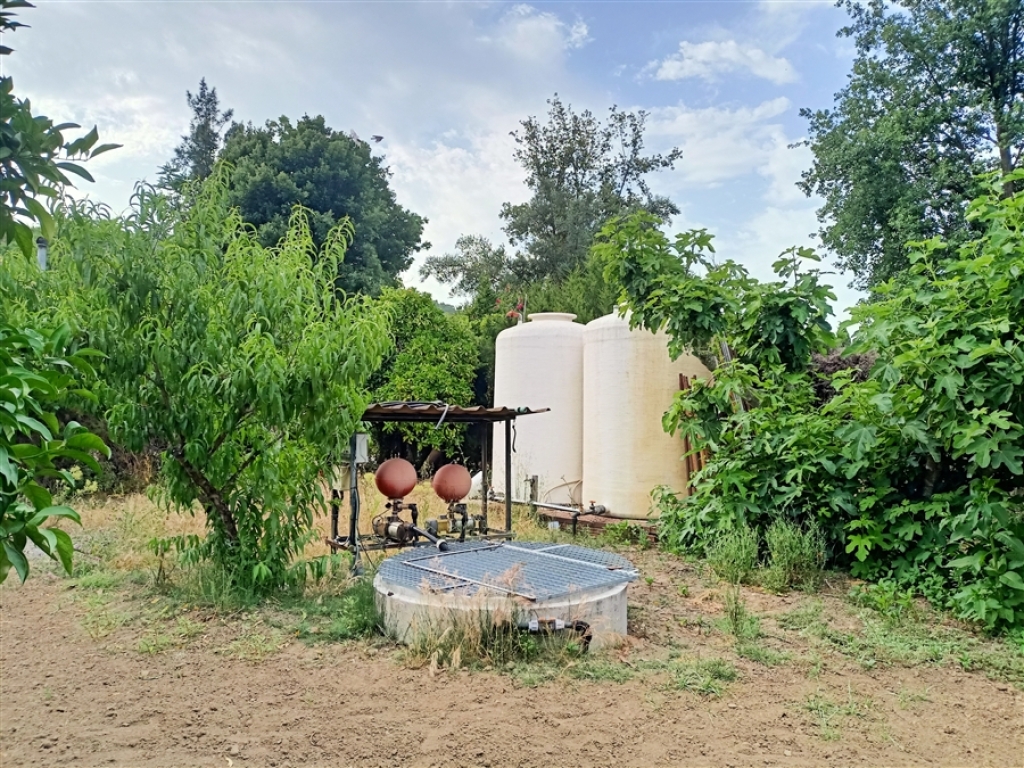 Casa de campo-Masía en Venta en Jimena De La Frontera Cádiz - foto 60
