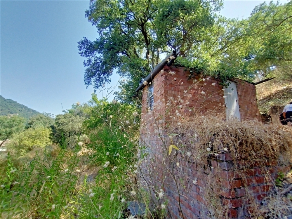 Casa de campo-Masía en Venta en Algatocin Málaga - foto 17