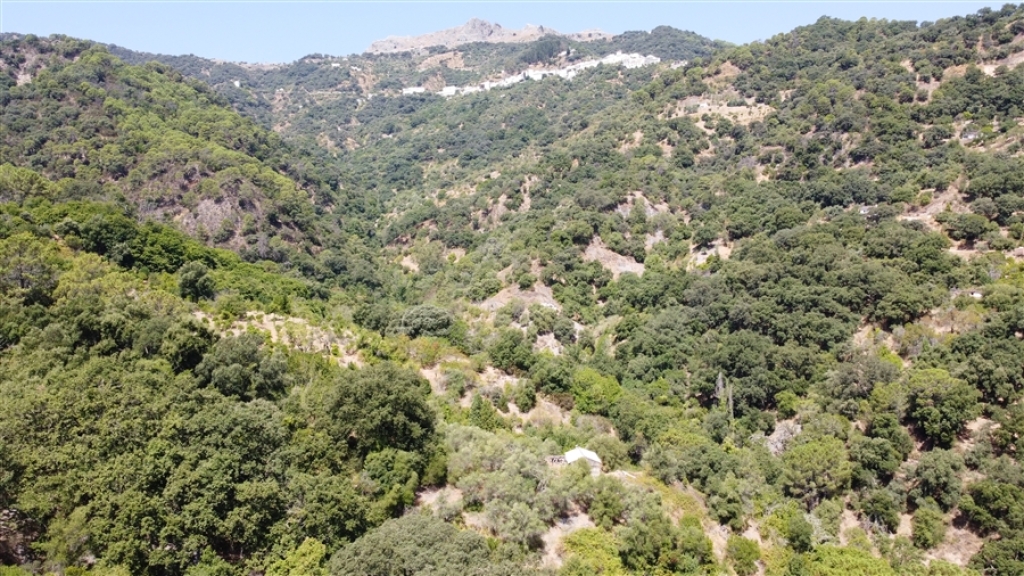 Casa de campo-Masía en Venta en Algatocin Málaga - foto 18