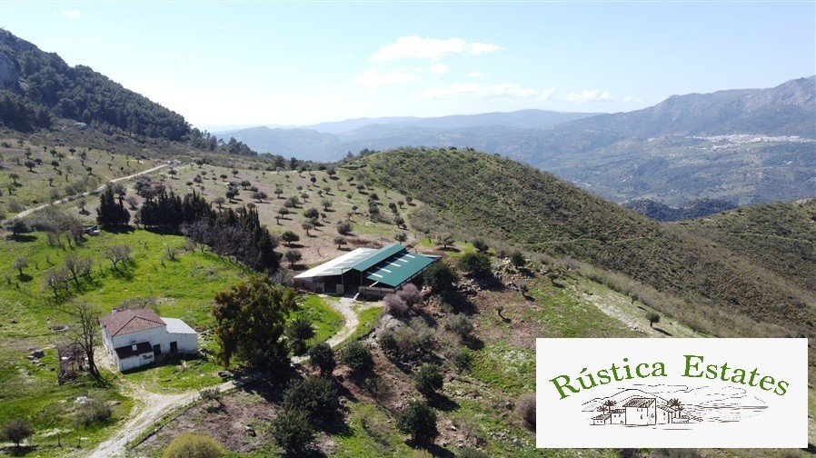 Casa de campo-Masía en Venta en Benalauria Málaga