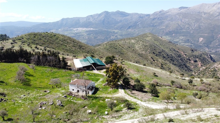 Casa de campo-Masía en Venta en Benalauria Málaga - foto 11