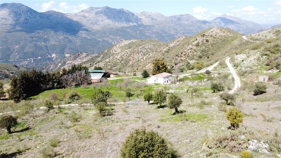 Casa de campo-Masía en Venta en Benalauria Málaga - foto 13