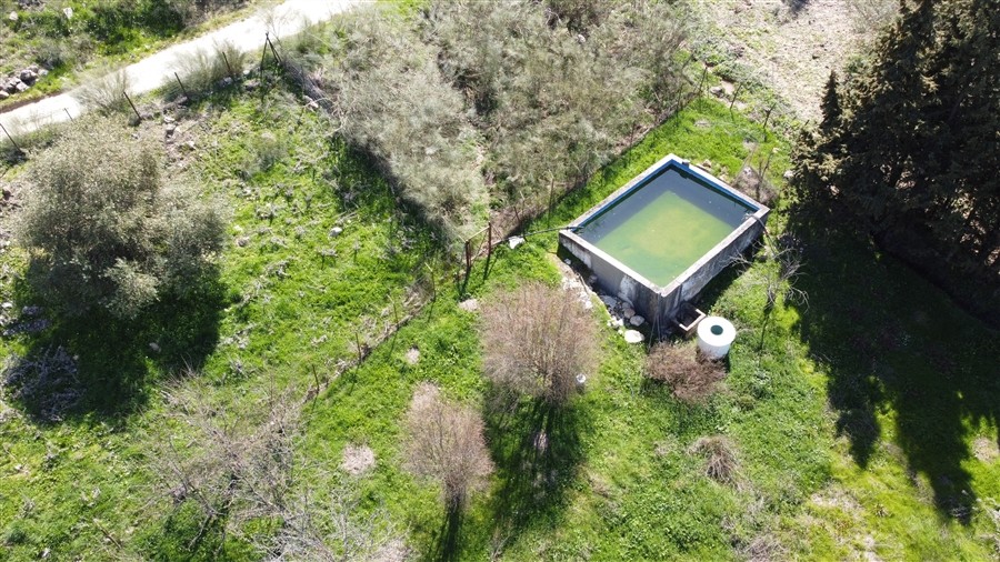 Casa de campo-Masía en Venta en Benalauria Málaga - foto 15