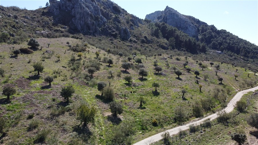 Casa de campo-Masía en Venta en Benalauria Málaga - foto 16