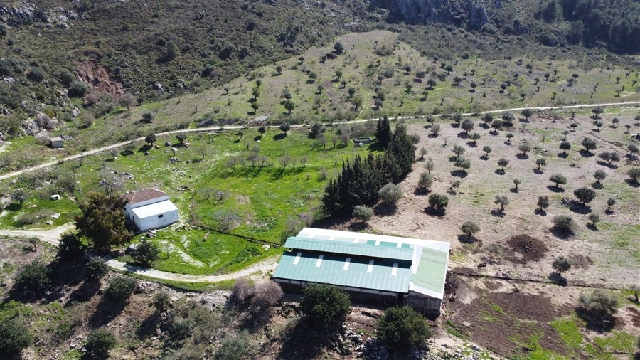 Casa de campo-Masía en Venta en Benalauria Málaga - foto 3