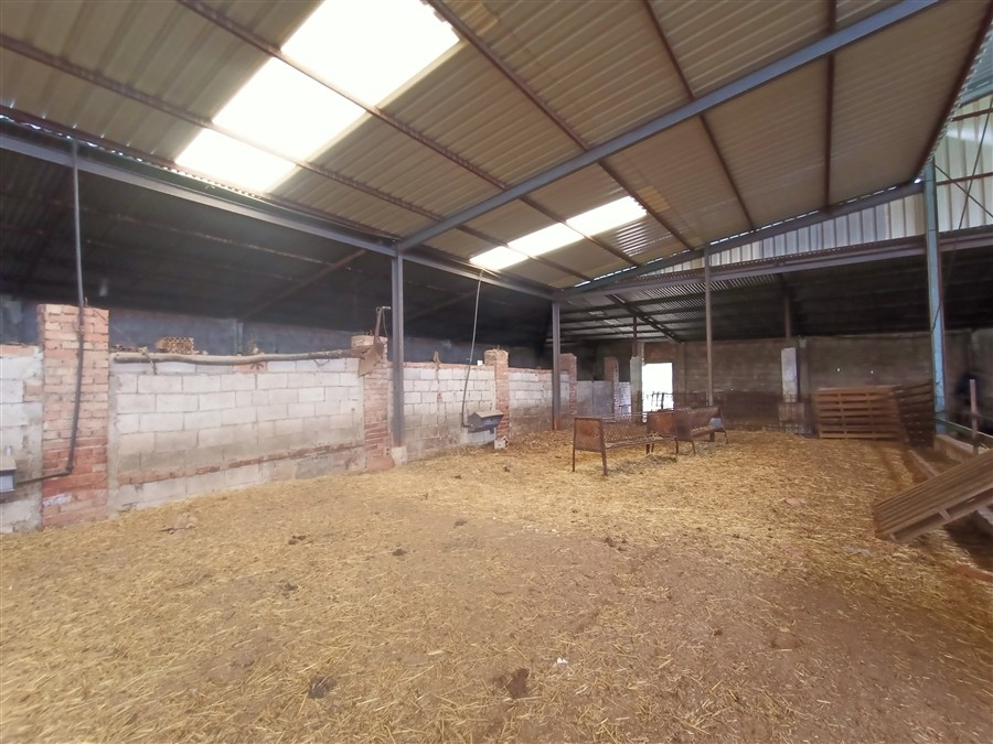 Casa de campo-Masía en Venta en Benalauria Málaga - foto 35