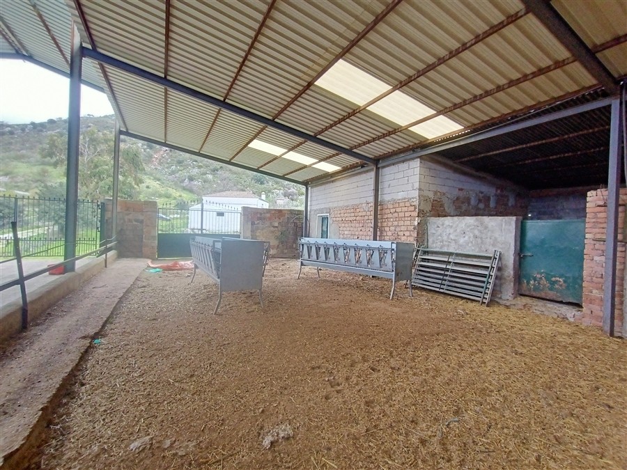 Casa de campo-Masía en Venta en Benalauria Málaga - foto 36