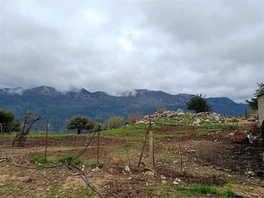 Casa de campo-Masía en Venta en Benalauria Málaga - foto 38