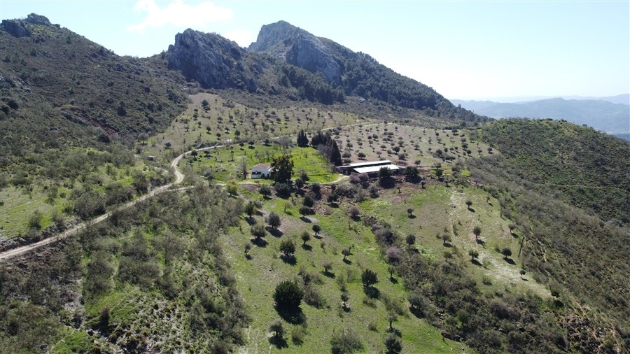 Casa de campo-Masía en Venta en Benalauria Málaga - foto 5