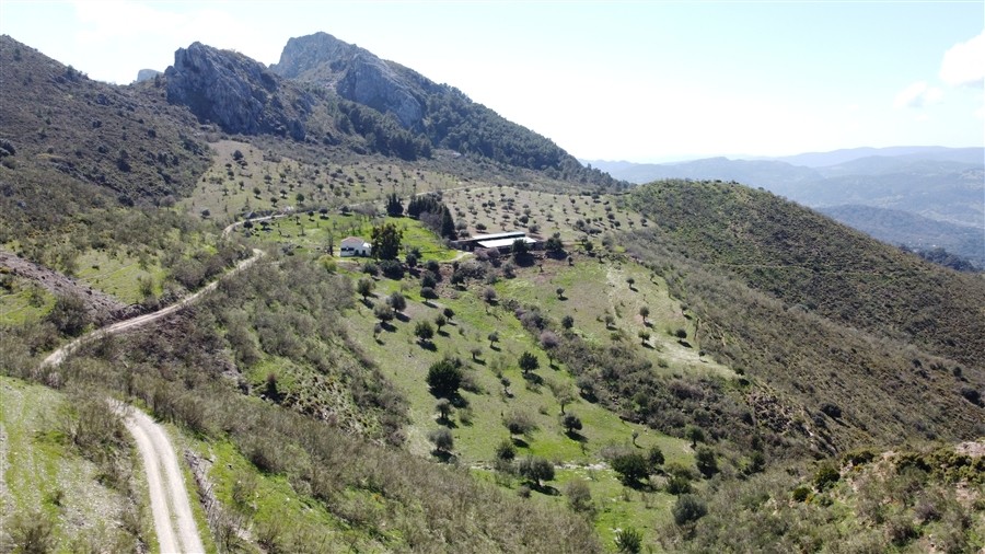 Casa de campo-Masía en Venta en Benalauria Málaga - foto 43