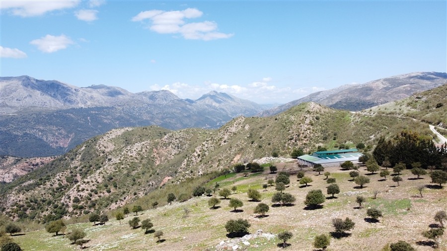Casa de campo-Masía en Venta en Benalauria Málaga - foto 6