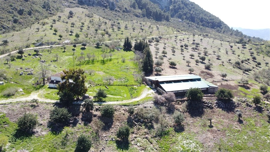 Casa de campo-Masía en Venta en Benalauria Málaga - foto 9