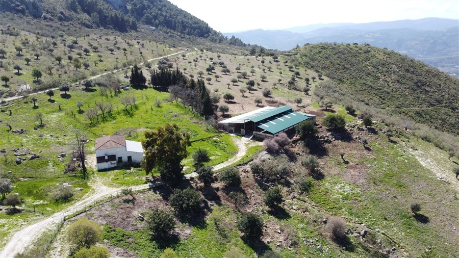 Casa de campo-Masía en Venta en Benalauria Málaga - foto 10