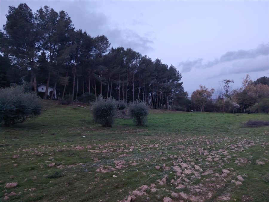 Casa-Chalet en Venta en Arenosos, Los Málaga - foto 18