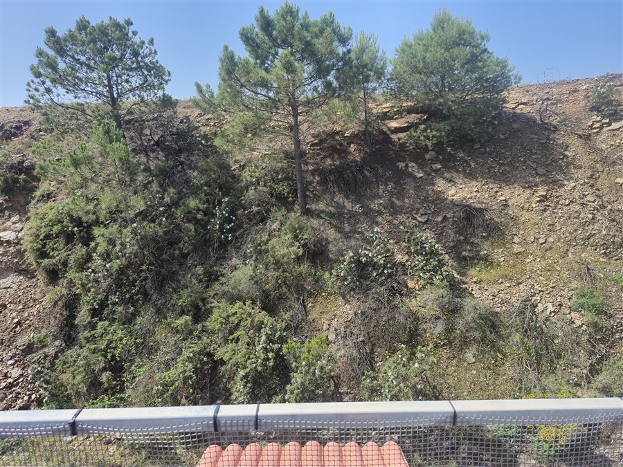 Casa-Chalet en Venta en Estepona Málaga - foto 19