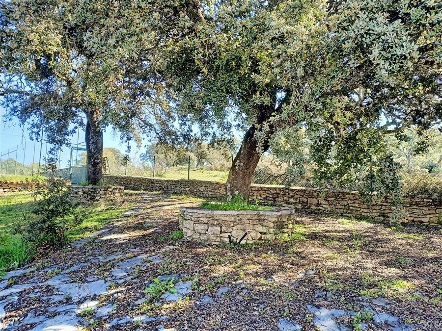 Casa de campo-Masía en Venta en Ronda Málaga - foto 35
