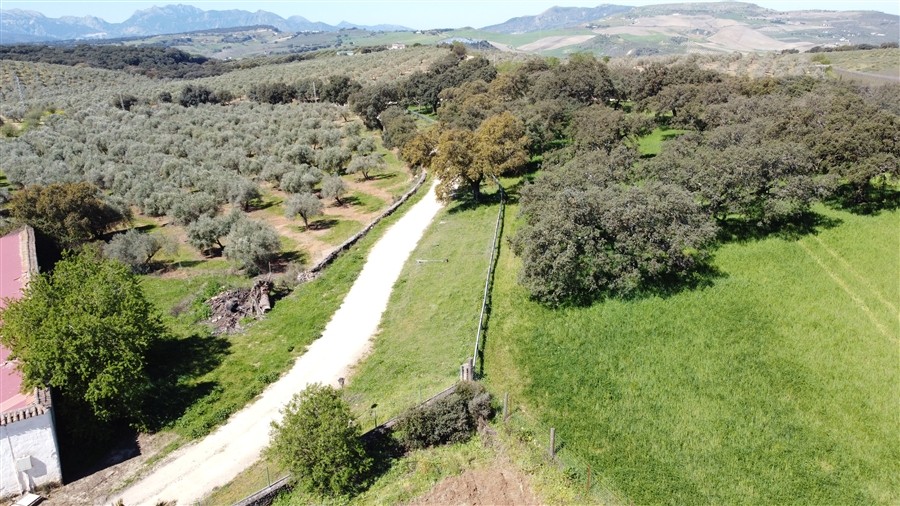 Casa de campo-Masía en Venta en Ronda Málaga - foto 5