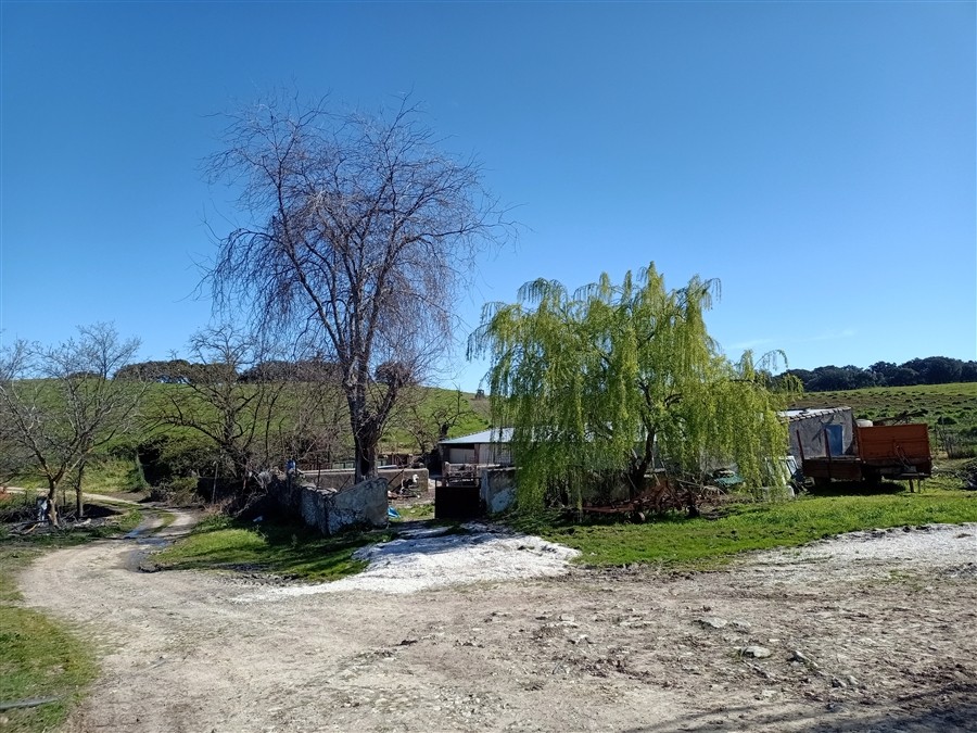 Casa de campo-Masía en Venta en Ronda Málaga - foto 42