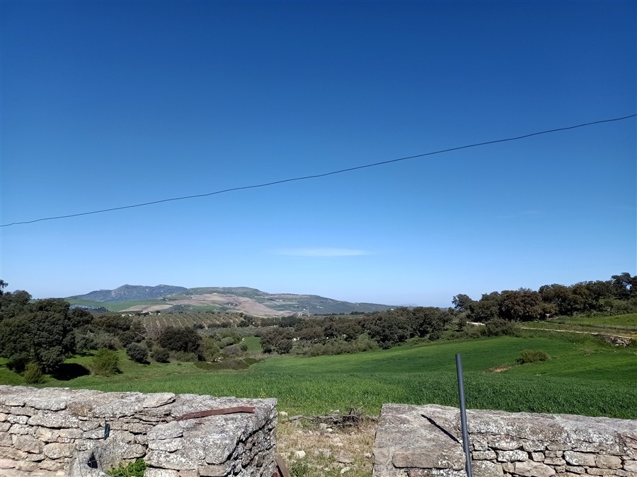 Casa de campo-Masía en Venta en Ronda Málaga - foto 44