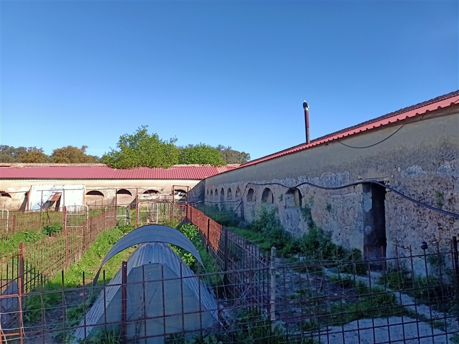 Casa de campo-Masía en Venta en Ronda Málaga - foto 8