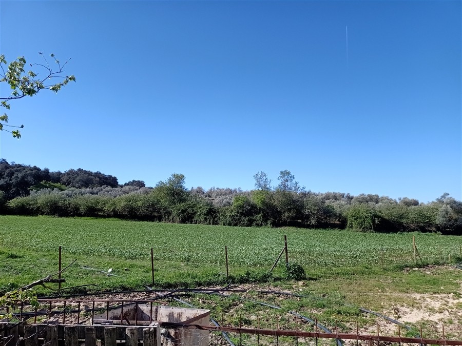 Casa de campo-Masía en Venta en Ronda Málaga - foto 9