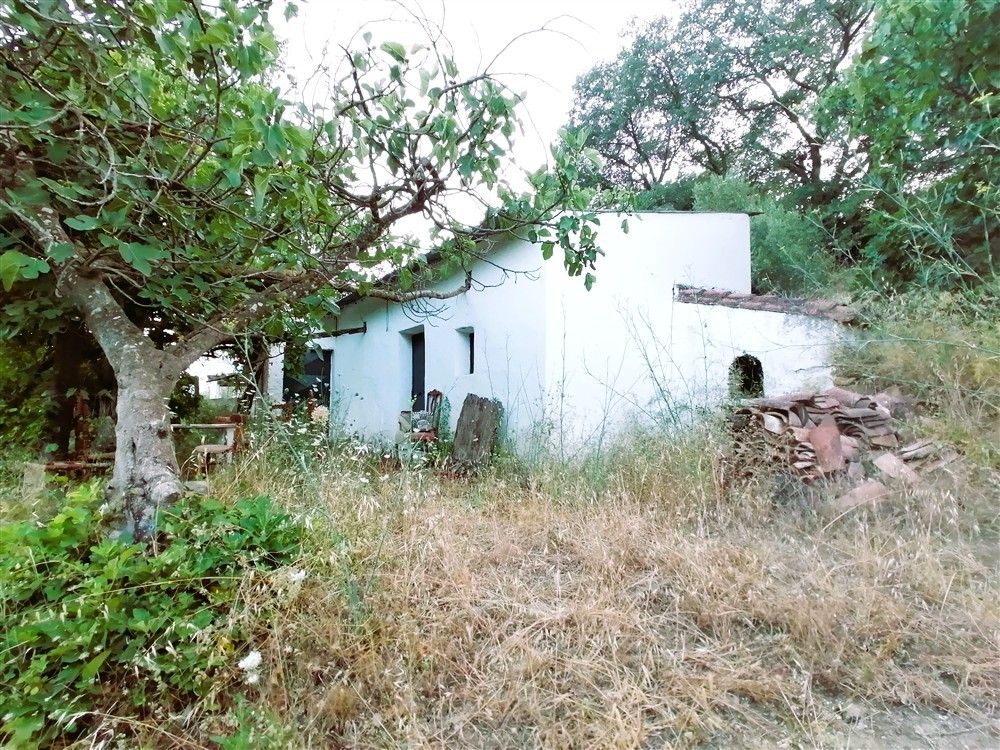 Casa de campo-Masía en Venta en Cortes De La Frontera Málaga