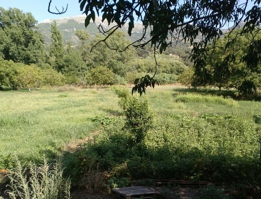 Casa de campo-Masía en Venta en Cortes De La Frontera Málaga - foto 2