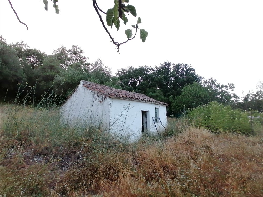 Casa de campo-Masía en Venta en Cortes De La Frontera Málaga - foto 17