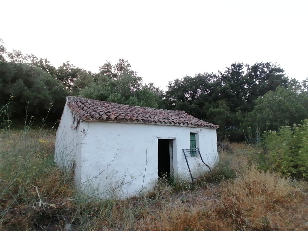 Casa de campo-Masía en Venta en Cortes De La Frontera Málaga - foto 18