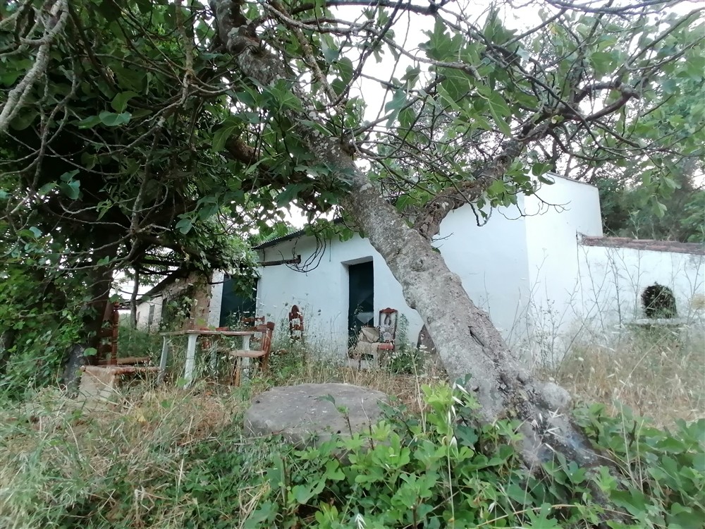 Casa de campo-Masía en Venta en Cortes De La Frontera Málaga - foto 19