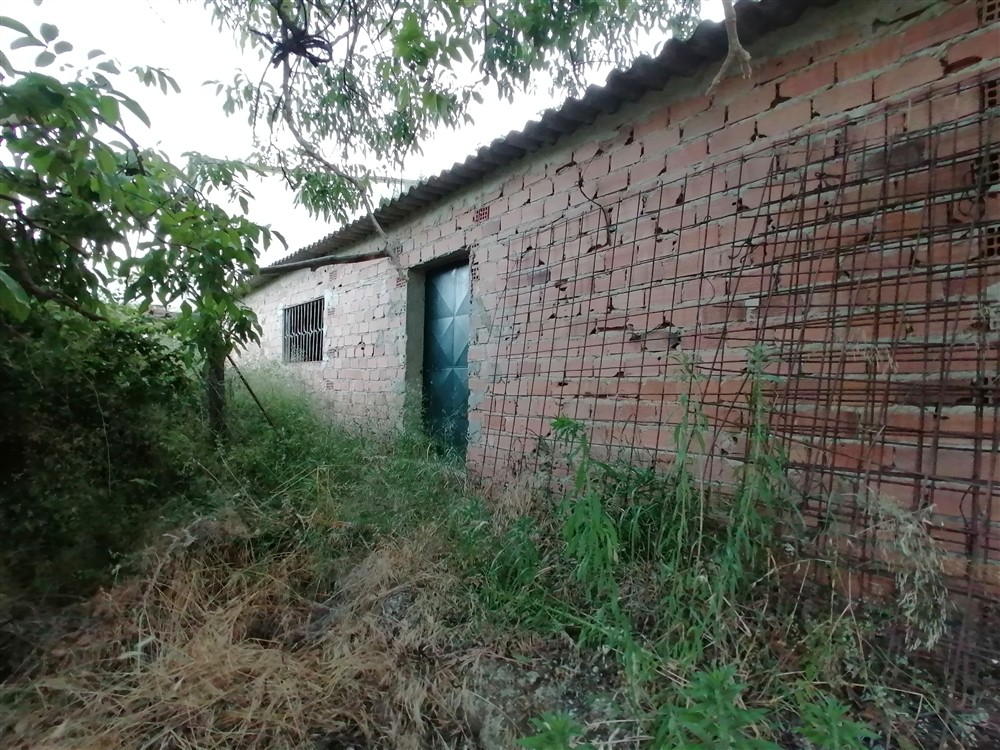 Casa de campo-Masía en Venta en Cortes De La Frontera Málaga - foto 22