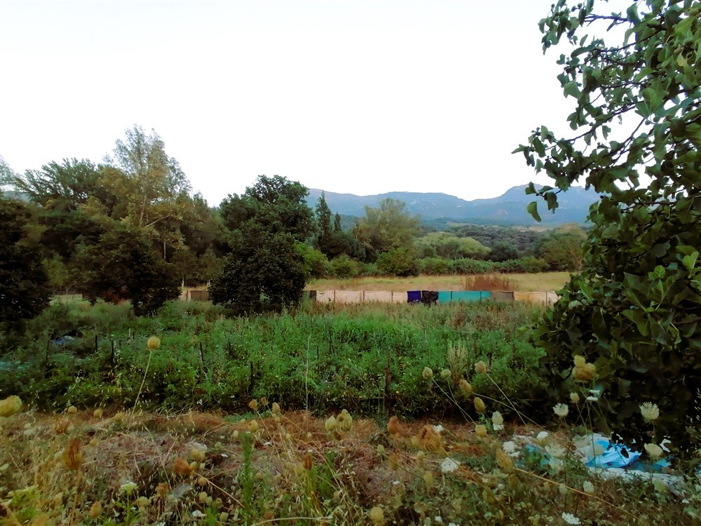Casa de campo-Masía en Venta en Cortes De La Frontera Málaga - foto 24