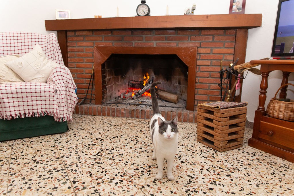 Casa-Chalet en Venta en San Pablo De Buceite Cádiz - foto 20