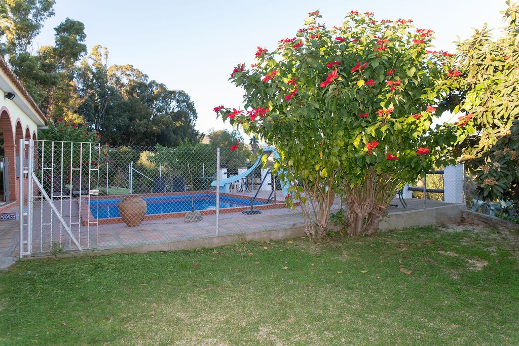Casa-Chalet en Venta en San Pablo De Buceite Cádiz - foto 42