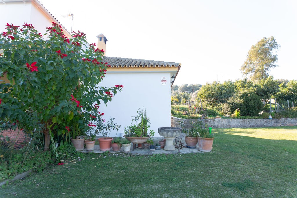 Casa-Chalet en Venta en San Pablo De Buceite Cádiz - foto 10