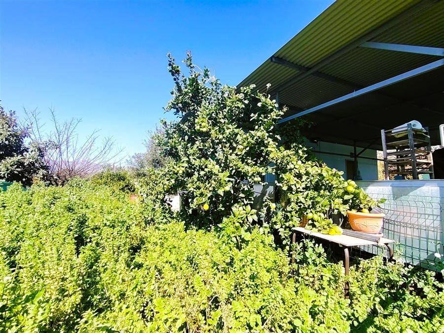 Casa de campo-Masía en Venta en Valerin, El Málaga - foto 8