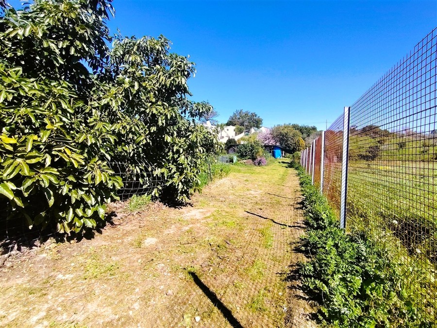 Casa de campo-Masía en Venta en Valerin, El Málaga - foto 9
