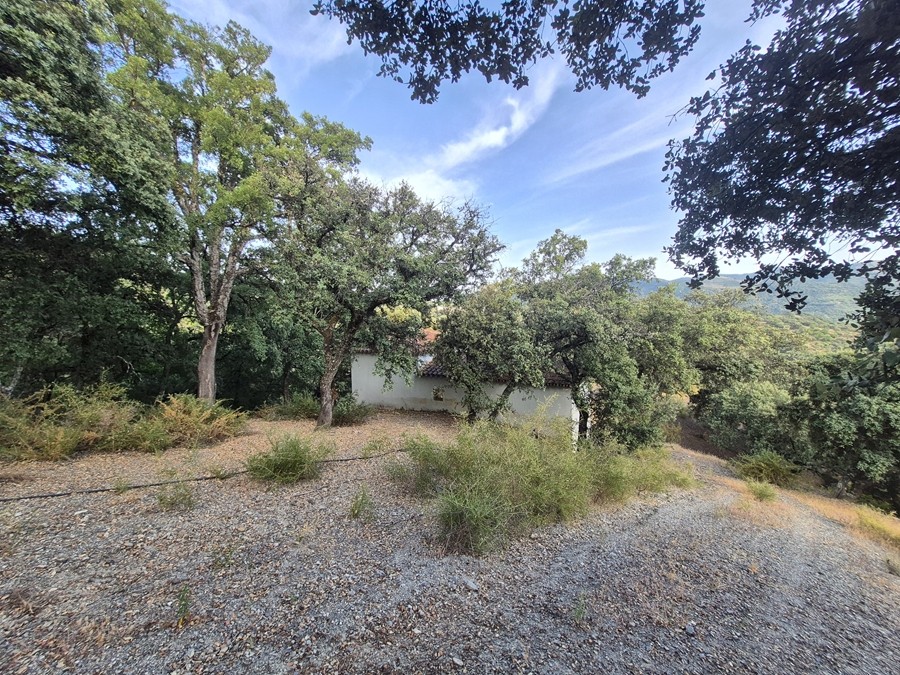 Casa de campo-Masía en Venta en Farajan Málaga - foto 12