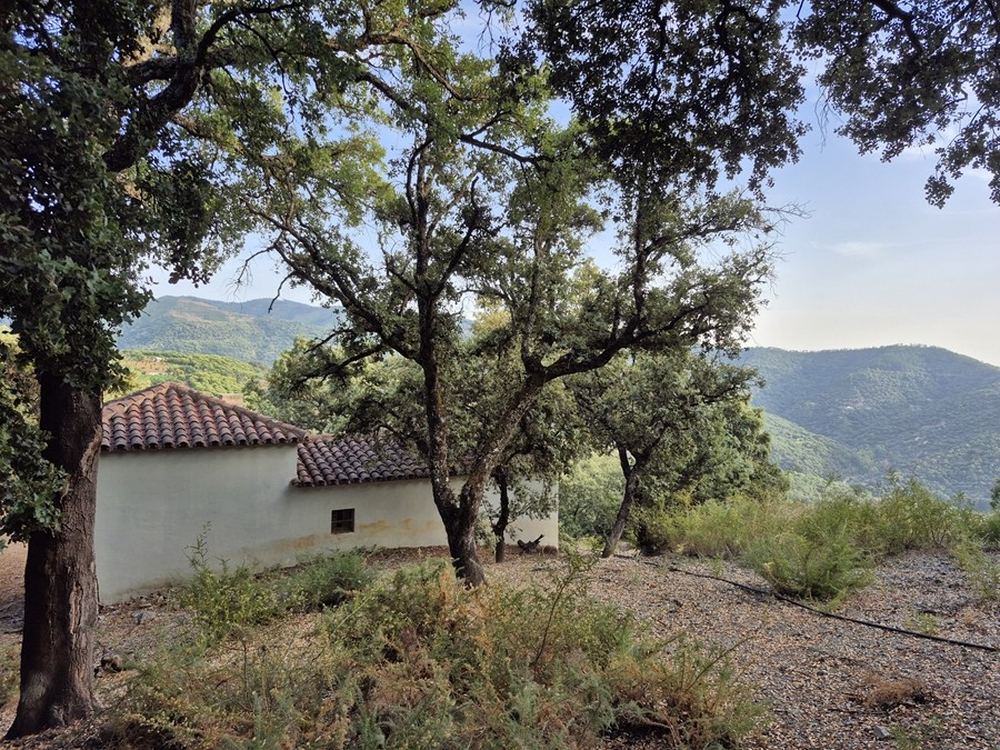 Casa de campo-Masía en Venta en Farajan Málaga - foto 13