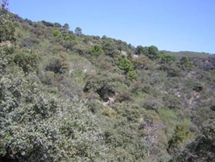 Casa de campo-Masía en Venta en Farajan Málaga - foto 22