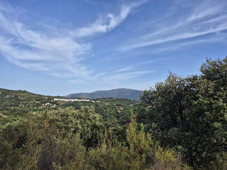 Casa de campo-Masía en Venta en Farajan Málaga - foto 10