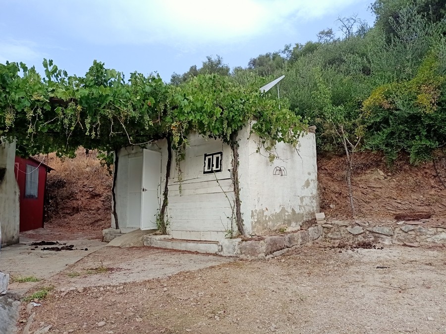 Casa de campo-Masía en Venta en Cortes De La Frontera Málaga - foto 13