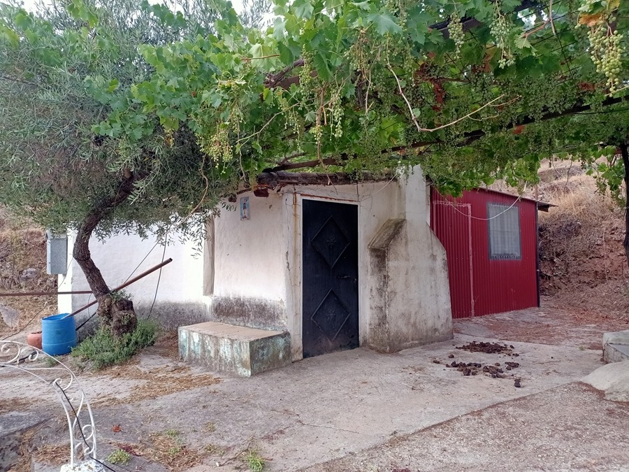 Casa de campo-Masía en Venta en Cortes De La Frontera Málaga - foto 14
