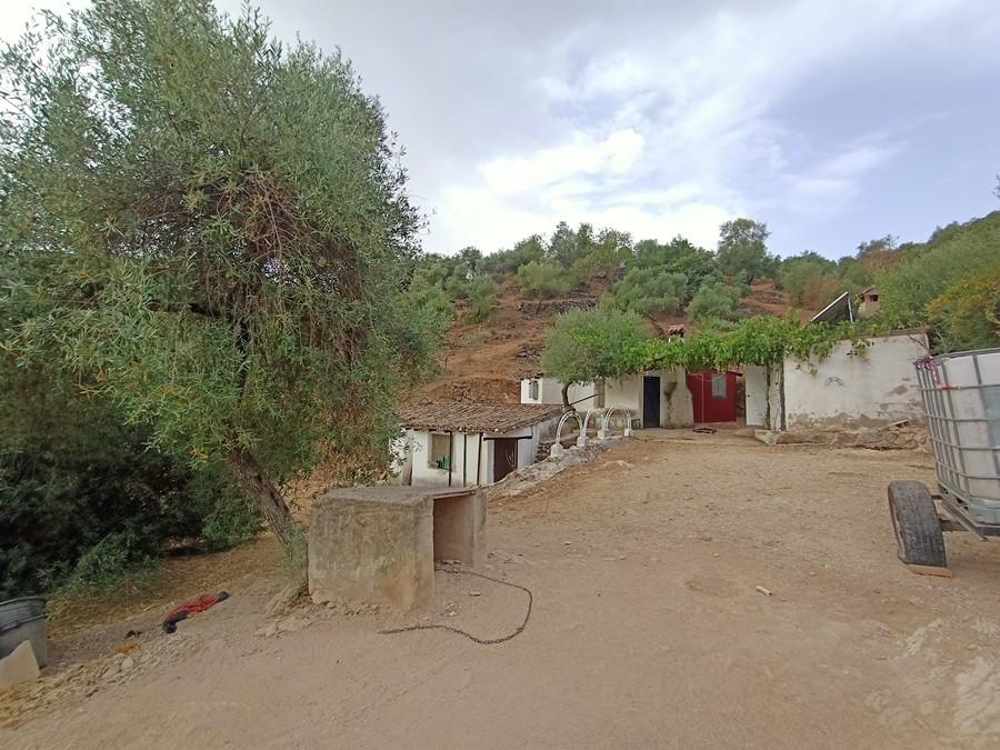 Casa de campo-Masía en Venta en Cortes De La Frontera Málaga - foto 15
