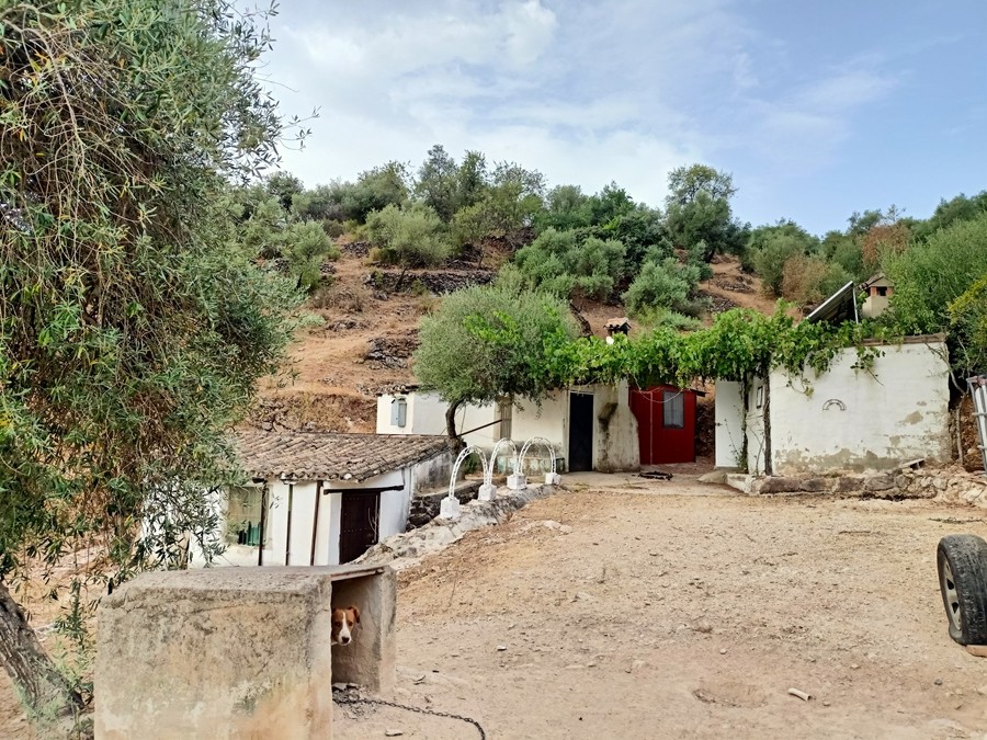 Casa de campo-Masía en Venta en Cortes De La Frontera Málaga - foto 17
