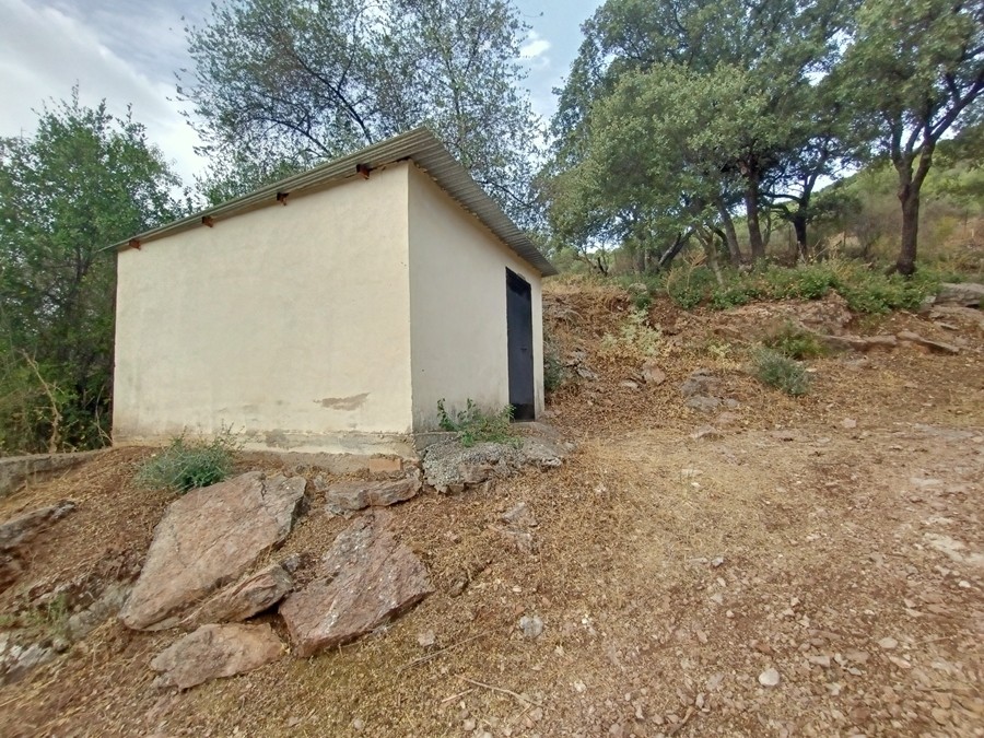 Casa de campo-Masía en Venta en Cortes De La Frontera Málaga - foto 18