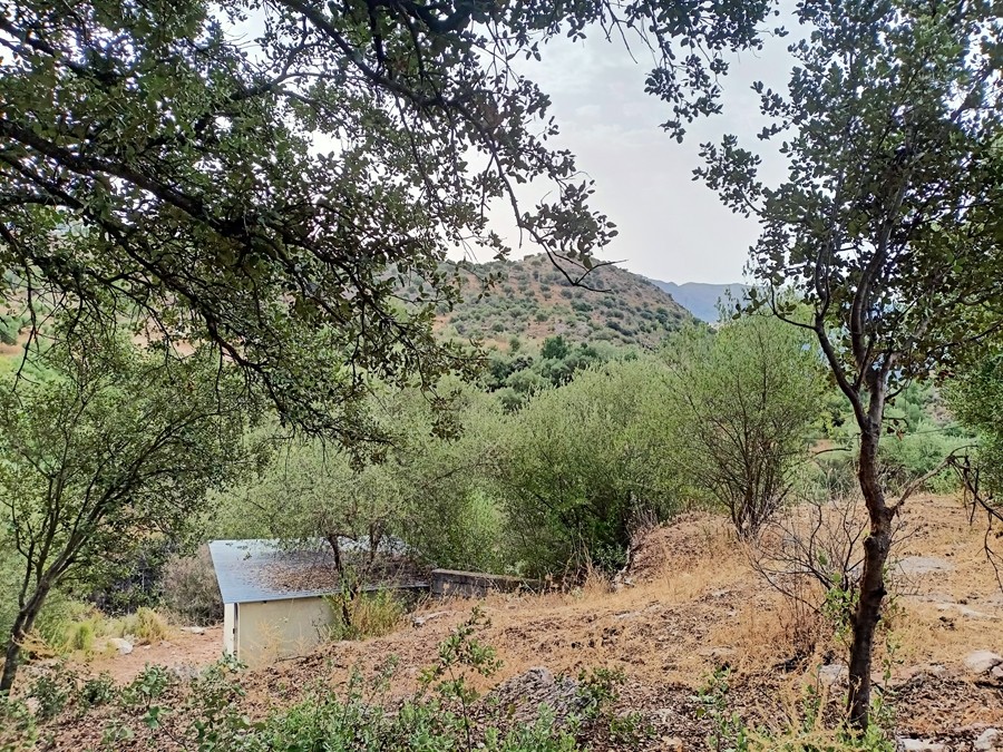 Casa de campo-Masía en Venta en Cortes De La Frontera Málaga - foto 20
