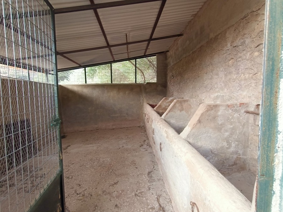 Casa de campo-Masía en Venta en Cortes De La Frontera Málaga - foto 22